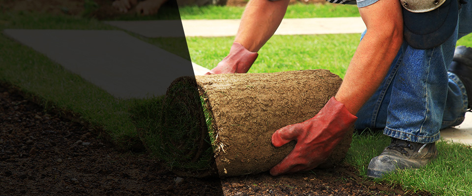 Harrodsburg Landscapers